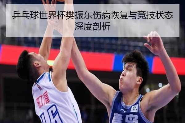 乒乓球世界杯樊振东伤病恢复与竞技状态深度剖析
